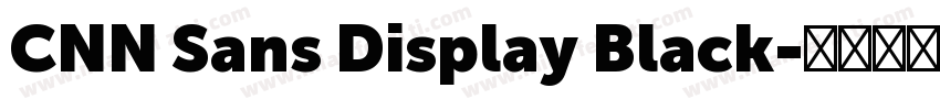 CNN Sans Display Black字体转换